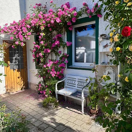 Johanna Naumburg (Saale)