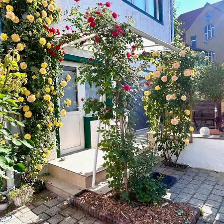 Johanna Naumburg (Saale)