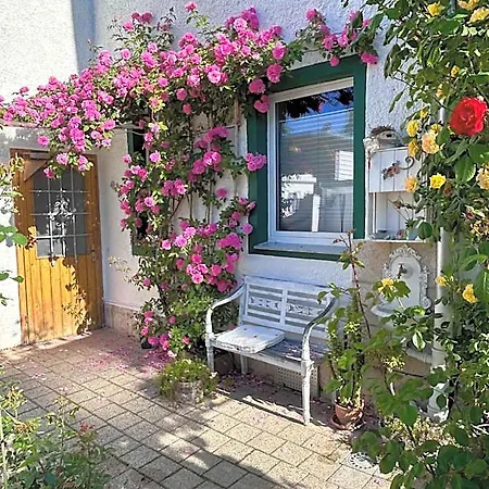 Apartament Johanna