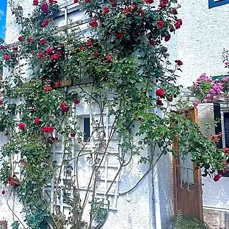 Apartament Johanna Naumburg (Saale)