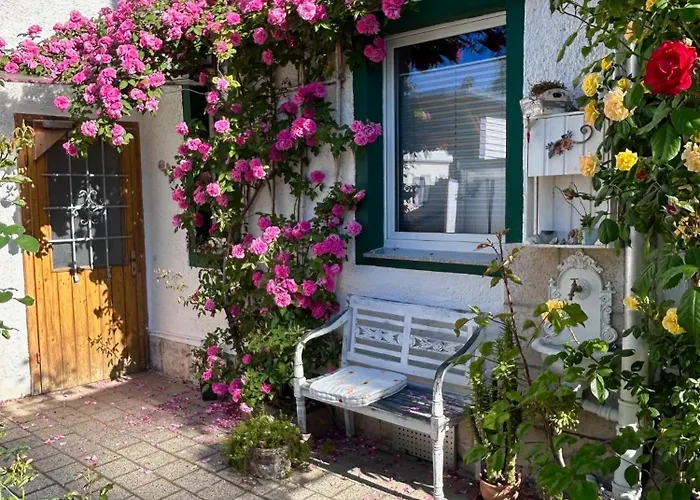 Johanna Naumburg (Saale)